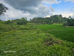 50,165 sqm highway lot for sale at Carmen Bohol 150/sqm