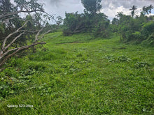 Load image into Gallery viewer, 🛣️ Highway Lot for Sale – Carmen, Bohol
