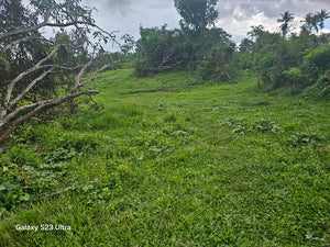 🛣️ Highway Lot for Sale – Carmen, Bohol