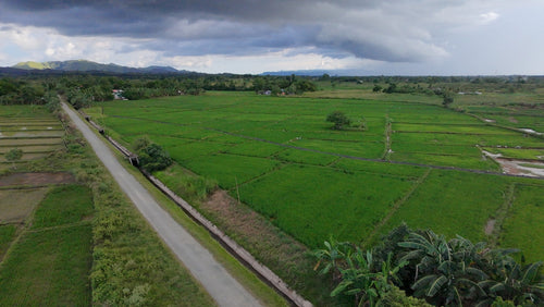 FOR SALE: Irrigated Rice Field – Casate, Ubay, Bohol