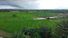 Load image into Gallery viewer, FOR SALE: Irrigated Rice Field – Casate, Ubay, Bohol