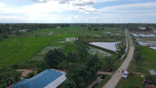 Load image into Gallery viewer, FOR SALE: Irrigated Rice Field – Casate, Ubay, Bohol