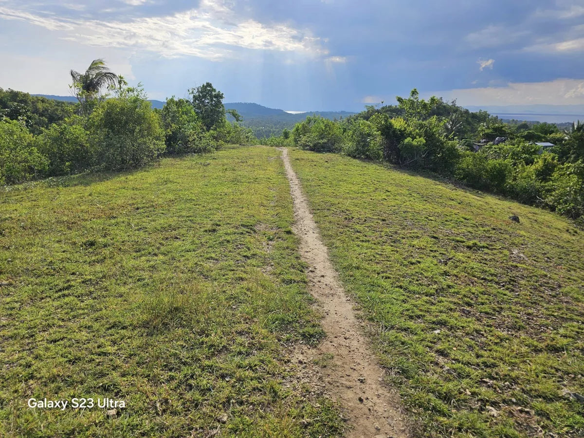 1.4 ha seaview lot for sale at Aloguinsan Cebu