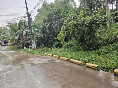 Cebu lot for sale 2 hectares clean title Sirao Cebu City