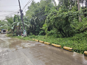 Cebu lot for sale 2 hectares clean title Sirao Cebu City