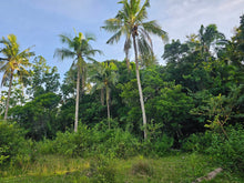 Load image into Gallery viewer, Bohol lot for sale 49,316 sqm clean title along river Dagohoy Bohol 60/sqm