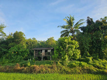 Load image into Gallery viewer, Bohol lot for sale 49,316 sqm clean title along river Dagohoy Bohol 60/sqm