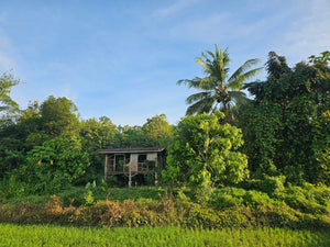 Bohol lot for sale 49,316 sqm clean title along river Dagohoy Bohol 60/sqm