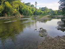 Load image into Gallery viewer, Bohol lot for sale 49,316 sqm clean title along river Dagohoy Bohol 60/sqm