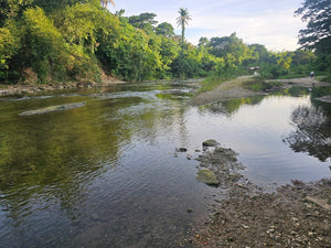 Bohol lot for sale 49,316 sqm clean title along river Dagohoy Bohol 60/sqm
