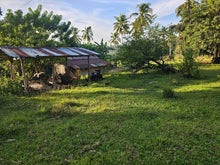 Load image into Gallery viewer, Bohol lot for sale 49,316 sqm clean title along river Dagohoy Bohol 60/sqm