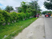 Load image into Gallery viewer, Commercial lot for sale 2,921 sqm Daanbantayan Cebu 45m negotiable