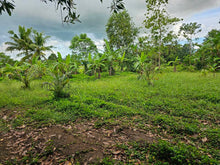 Load image into Gallery viewer, Bohol lot for sale with irrigated ricefield in Dagohoy near Highway