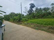 Load image into Gallery viewer, Bohol lot for sale with irrigated ricefield in Dagohoy near Highway