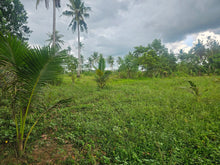 Load image into Gallery viewer, Bohol lot for sale with irrigated ricefield in Dagohoy near Highway