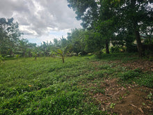 Load image into Gallery viewer, Bohol lot for sale with irrigated ricefield in Dagohoy near Highway
