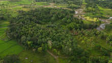 Load image into Gallery viewer, 4.9 hectares clean title for sale along the river Dagohoy Bohol Philippines 3.5m negotiable