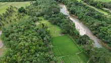 Load image into Gallery viewer, 4.9 hectares clean title for sale along the river Dagohoy Bohol Philippines 3.5m negotiable
