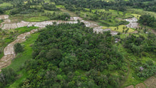 Load image into Gallery viewer, 4.9 hectares clean title for sale along the river Dagohoy Bohol Philippines 3.5m negotiable
