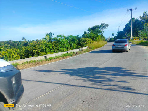 Lot for sale 36,000 sqm clean title expandable Tagbilaran City 2,000/sqm