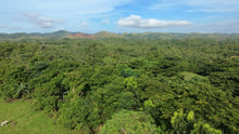 Load image into Gallery viewer, 🌾 Lot for Sale in Remedios, Danao, Bohol – 8,000 sqm | ₱1,700,000 (Slightly Negotiable)