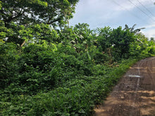 Load image into Gallery viewer, 🌾 Lot for Sale in Remedios, Danao, Bohol – 8,000 sqm | ₱1,700,000 (Slightly Negotiable)