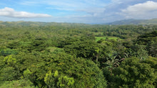 Load image into Gallery viewer, 🌾 Lot for Sale in Remedios, Danao, Bohol – 8,000 sqm | ₱1,700,000 (Slightly Negotiable)