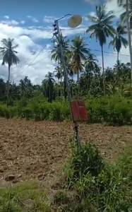 Lot for sale 62,318 sqm clean title Dumanjug Cebu 250/sqm net