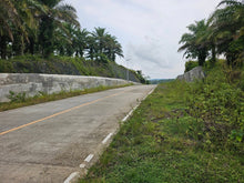 Load image into Gallery viewer, 1.7 Hectare Lot for Sale – El Progreso, Carmen, Bohol