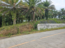 Load image into Gallery viewer, 1.7 Hectare Lot for Sale – El Progreso, Carmen, Bohol
