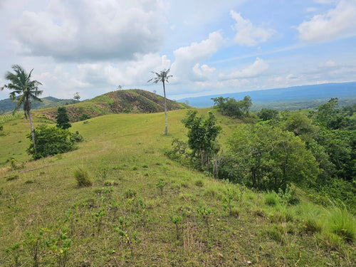 1.7 Hectare Lot for Sale – El Progreso, Carmen, Bohol