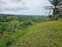 Load image into Gallery viewer, 1.7 Hectare Lot for Sale – El Progreso, Carmen, Bohol