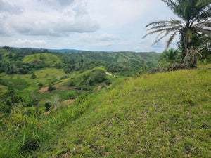 1.7 Hectare Lot for Sale – El Progreso, Carmen, Bohol