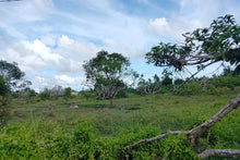 Load image into Gallery viewer, Lot for sale 32 hectares clean title flat terrain Ubay Bohol 100/sqm