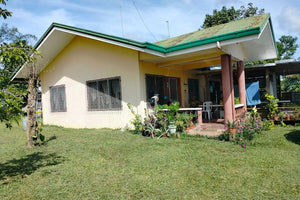 Lot for sale 32 hectares clean title flat terrain Ubay Bohol 100/sqm