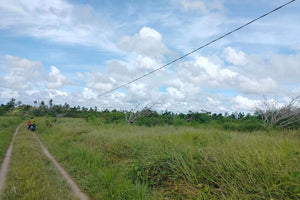 Lot for sale 32 hectares clean title flat terrain Ubay Bohol 100/sqm