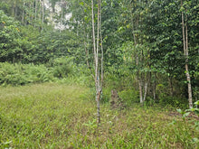 Load image into Gallery viewer, 7,243 sqm clean title for sale in Corella Bohol 500/sqm