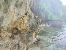 Load image into Gallery viewer, Beach lot for sale 1,500 sqm Guindulman Bohol 12m