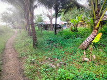 Load image into Gallery viewer, Beach lot for sale 1,500 sqm Guindulman Bohol 12m