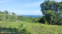 Load image into Gallery viewer, Lot for sale seaview 16,000 sqm near highway Guindulman Bohol 250/sqm