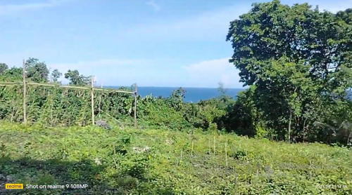 Lot for sale seaview 16,000 sqm near highway Guindulman Bohol 250/sqm