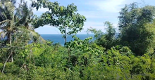 Load image into Gallery viewer, Lot for sale seaview 16,000 sqm near highway Guindulman Bohol 250/sqm