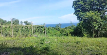 Load image into Gallery viewer, Lot for sale seaview 16,000 sqm near highway Guindulman Bohol 250/sqm