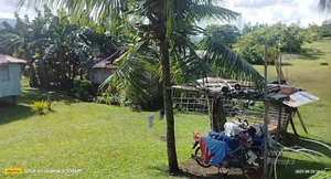 Lot for sale seaview 16,000 sqm near highway Guindulman Bohol 250/sqm