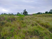 Load image into Gallery viewer, Lot for sale 2,400 sqm ready for title near white sand beaches Moalboal Cebu 3,500/sqm