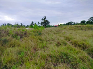 Lot for sale 2,400 sqm ready for title near white sand beaches Moalboal Cebu 3,500/sqm