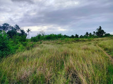 Load image into Gallery viewer, Lot for sale 2,400 sqm ready for title near white sand beaches Moalboal Cebu 3,500/sqm