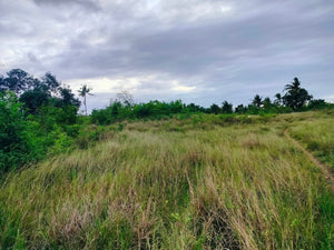 Lot for sale 2,400 sqm ready for title near white sand beaches Moalboal Cebu 3,500/sqm