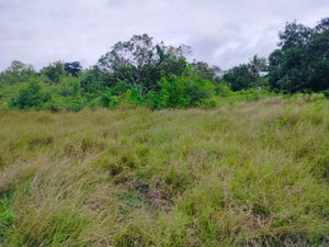 Lot for sale 2,400 sqm ready for title near white sand beaches Moalboal Cebu 3,500/sqm