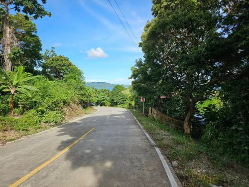 Bohol overlooking seaview lot for sale near Highway in Guindulman